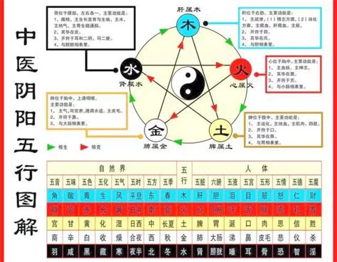 五行對應表